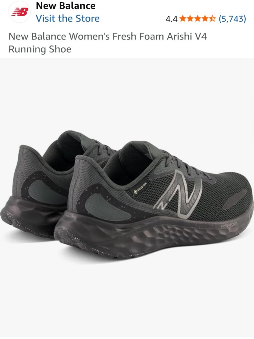 New Balance Women's Fresh Foam Arishi V4 Gortex Shoes